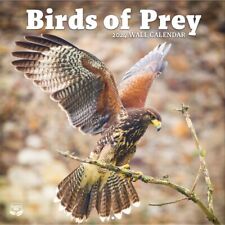 Turner Licensing,  Birds Of Prey Photo 2024 Wall Calendar picture