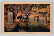 Leasburg MO-Missouri, Onondaga Cave, First Lily Pad Room, Vintage Postcard picture