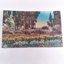Clover Valley Nevada -Schoer's Ranch- Flower Garden SE Wells Postcard 1907-15 picture