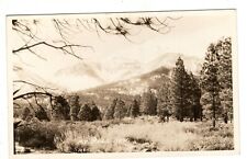 Nevada RPPC Mt Rose  Vintage Postcard picture
