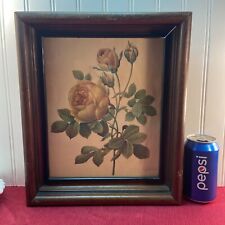 Vtg 1940-50’s? Yellow Rose Lithograph Print Wooden Shadow Box Frame picture