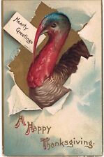 Clapsaddle Thanksgiving Turkey Gilded 1910  picture