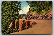 Great Smoky Mountains National Park Sky-Line Drive VINTAGE Postcard picture