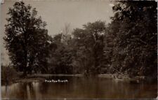 1908, Scene on the PAW PAW RIVER, Michigan Real Photo Postcard - Walter W. Hicks picture