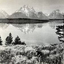 Antique 1910s Jackson Lake Grand Teton Wyoming Stereoview Photo Card V2803 picture