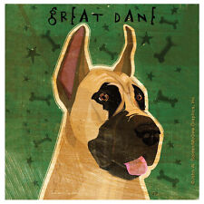 NEW Great Dane Stoneware Square Coasters Set Gentle Giants Large Breed Dog Decor picture