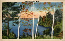 Raymond Maine lakeside white birch trees mailed 1945 vintage postcard picture
