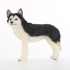 Husky Figurine Hand Painted Collectible Statue Black/White Blue Eye picture