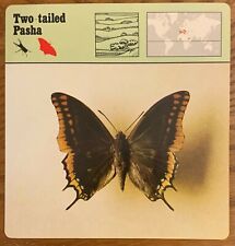 TWO-TAILED PASHA, 1977 EDITIONS RECONTRE 4 3/4