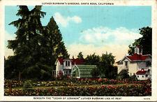 Vtg 1930's Luther Burbank's Gardens Santa Rosa California CA Linen Postcard picture