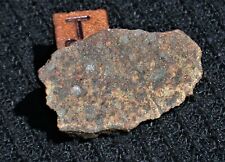 Very Nice NWA chondrite meteorite slice -  2.30 g 