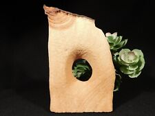 Abstract Navajo SANDSTONE ARCH with Hematite From Utah 680gr picture