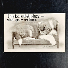 ANTIQUE 1909 W. F. WILLIAMS POST CARD OF PUPPY THIS IS A QUIET PLACE - POSTED picture