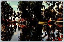 LOVELY MODELS POSING WATERSIDE AT FLORIDA'S CYPRESS GARDENS VTG POSTCARD picture