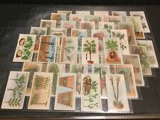 1923 Wills Gardening Hints Set of 50 Cards in Plastic Sheets Sku775S picture