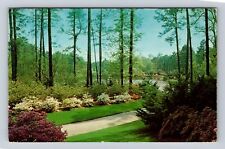 Pinehurst NC-North Carolina, Clarendon Gardens, Antique Vintage Postcard picture