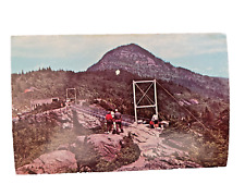 VINTAGE PHOTO POSTCARD SWINGING BRIDGE GRANDFATHER MOUNTAIN LINVILLE N.C. UNUSED picture