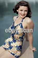 ACTRESS GENE TIERNEY  LEGGY CHEESECAKE  SWIMSUIT    8X10 PHOTO  10 picture