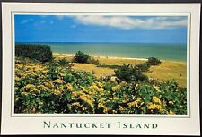 Nantucket Island Massachusetts Scenic Beach View Postcard Unposted picture