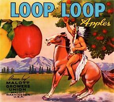 5 Vintage LOOP LOOP Brand Apple Fruit Crate Labels Malott, Washington picture