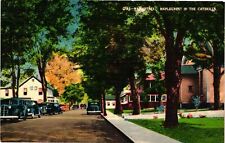 Vintage Postcard- MAIN STREET, MAPLECREST, CATSKILLS, N.Y. picture