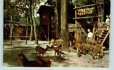 Tommy Bartlett's Deer Ranch Florida Frontier Postcard adverting vintage picture