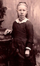 CDV Photo 1800's Waverly, Ia. Studio Portrait Girl In Victorian Dress Pierce picture