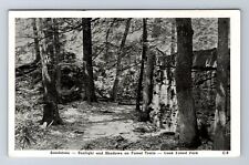 Reynoldsville PA-Pennsylvania, Cook Forest Park, Forest Trails Vintage Postcard picture