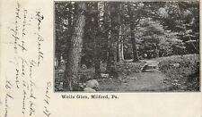 Milford Pennsylvania~Path Through Wells Glen~1907 Postcard picture