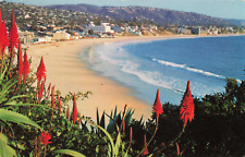 Laguna Beach CA Red-Hot Poker Plants Heisler Park Christmastime Vintage Postcard picture