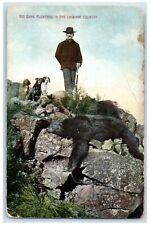 c1910 Big Game Plentiful Hunting Bear In The Spokane Country Washington Postcard picture