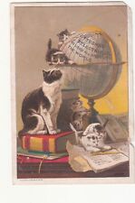 Dr Thomas Eclectric Oil Globe Cats J C Altick Shippensburg PA Vict Card c1880 picture