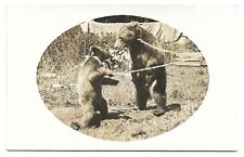Chained / Domesticated Bears, Antique RPPC Photo Postcard picture