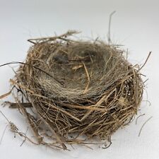 Real Bird Nest Song Sparrow Crafts Natural Indiana Farmland 3