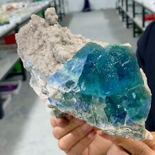 5.38LB Rare blue-green cubic fluorite mineral crystal sample/China picture