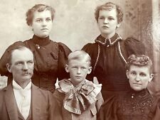 CC5 Cabinet Card Montpelier Ohio Family Portrait Twin Girls Boy Named picture