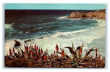 Postcard Three-Arch Bay, California U25 picture