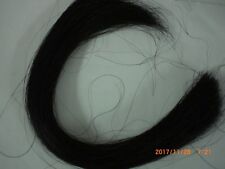 Horse Hair, Natural Black, 1 Ounce, 22-26 Inch picture