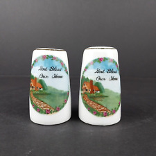 Vintage White Porcelain Country Salt and Pepper Shaker Set - God Bless Our Home picture