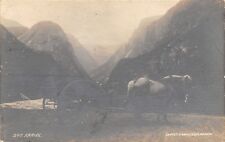 Naerodalen Sogn Norway~Kariol: Horse Drawn Carriage~Knudsen Photo~1913 RPPC picture