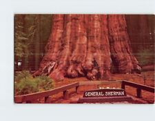 Postcard General Sherman Tree Giant Sequoia California USA picture