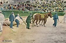 Vintage  Horse Postcard  BULL FIGHT HORSES PULLING BULL FROM RING   UNPOSTED picture