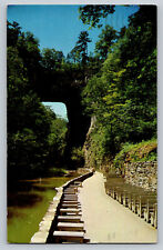 Natural Bridge, Virginia Postcard  Road Rver Trees Posted 1958 Divided Back picture