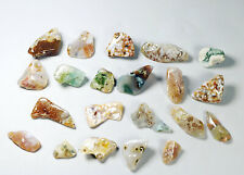 21pcs Amazing Ocean Jasper Crystal Agate Round Pendant Jasper Reiki Stone picture