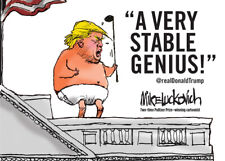 A Very Stable Genius: @Realdonaldtrump by Luckovich, Mike picture