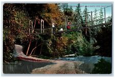Santa Cruz California Postcard Swinging Edge Bridge Lake c1910 Vintage Antique picture