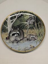 The Woodland Year - Curious Raccoons At An April Pond -Peter Barrett FP Plate... picture