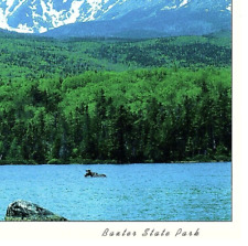 Postcard Mount Katahdin Moose At Base Of Baxter State Park Great Mountain Maine picture