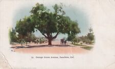 Orange Grove Avenue Pasadena California CA Postcard Private Mailing Card N30 picture