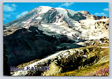 Vintage Postcard Mount Ranier National Park Washington picture